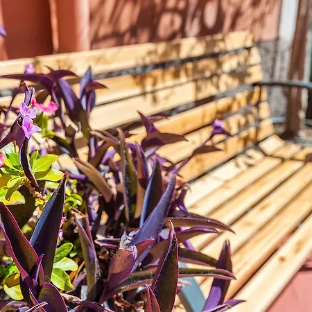 Apartment Vacanze